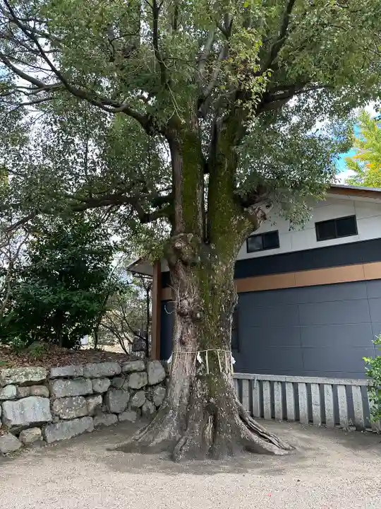 與杼神社(京都府)