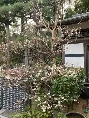宝善院(神奈川県)