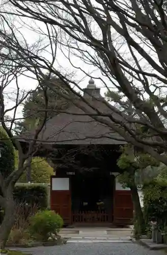 大通院の建物その他