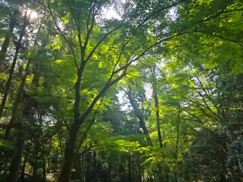 地藏院(京都府)