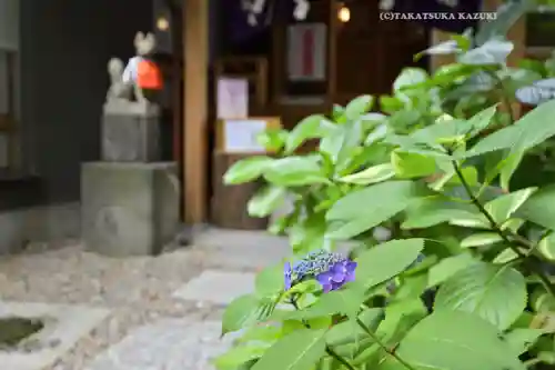 五十稲荷神社(栄寿稲荷神社)(東京都)