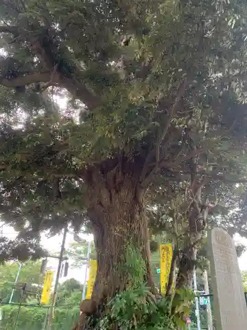 要行寺(千葉県)