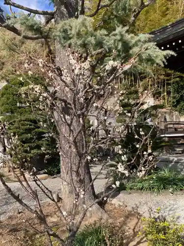 妙法寺(神奈川県)