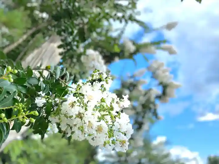 冨士山稲荷神社の自然