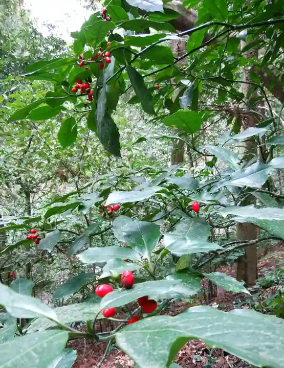 伊勢神宮外宮(豊受大神宮)(三重県)