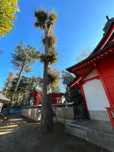 小野神社(東京都)