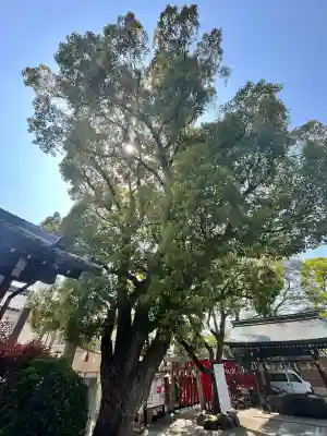 生根神社(大阪府)