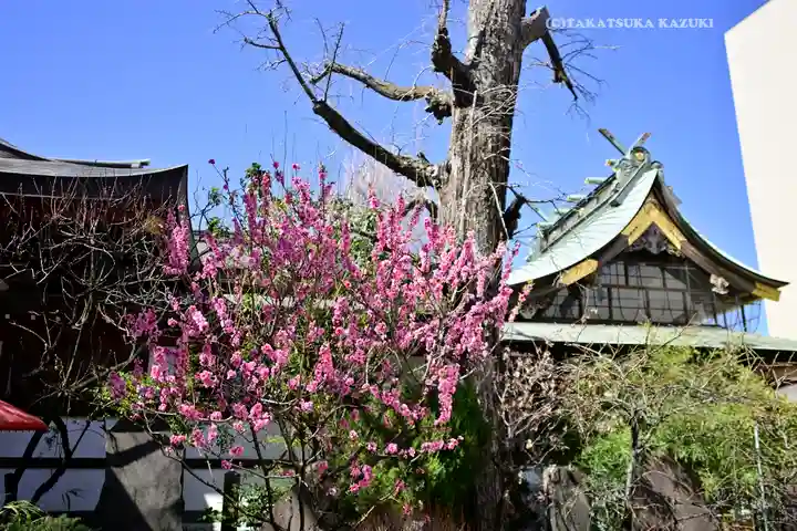 素盞雄神社(東京都)