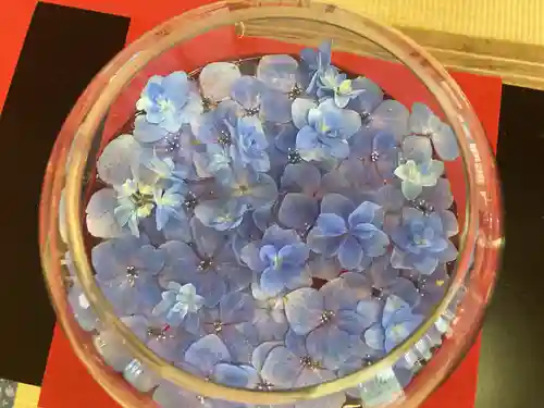 壽徳寺 じゅとくじのその他建物