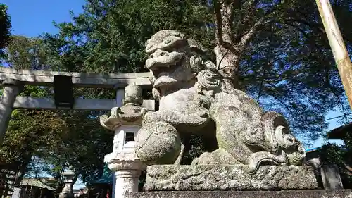 (下館)羽黒神社の狛犬