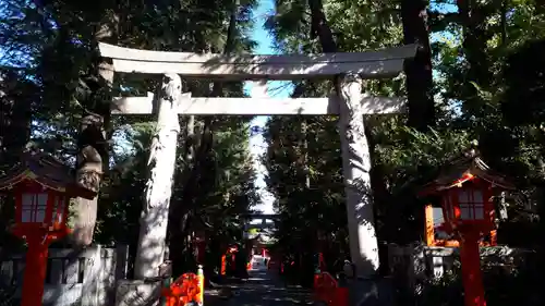 馬橋稲荷神社の鳥居