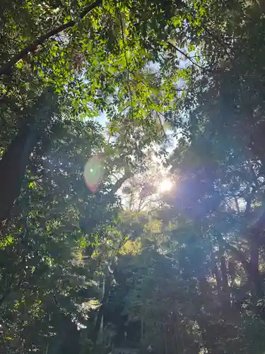 伊勢神宮外宮（豊受大神宮）(三重県)