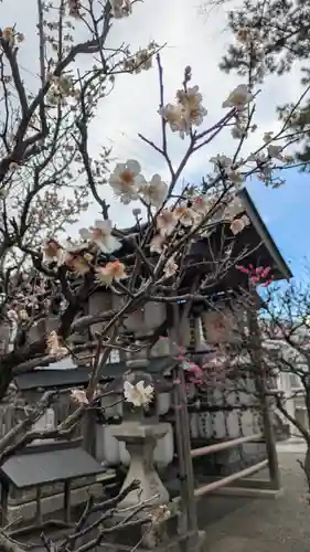 縣神社(京都府)