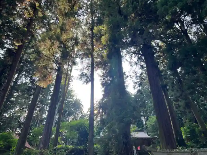 大宮温泉神社(栃木県)