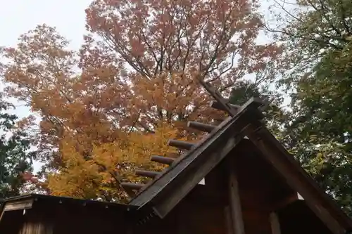 阿久津「田村神社」（郡山市阿久津町）旧社名：伊豆箱根三嶋三社の本殿