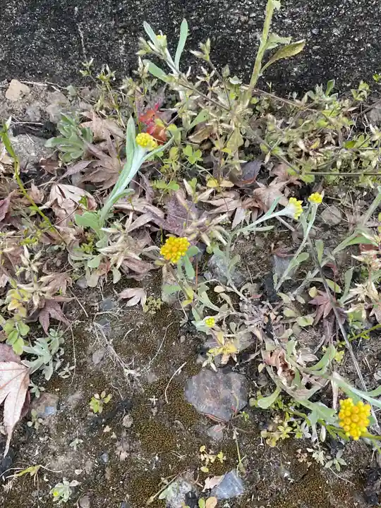 宗栄寺(愛知県)