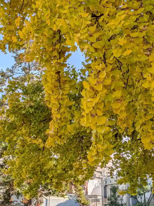 仙寿院(東京都)