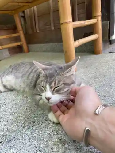 玉野御嶽神社の動物