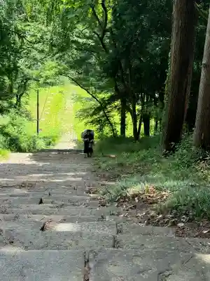 亀岡八幡宮の{uncategorized: "未分類", other: "その他", undefined: "問題あり", building: "その他建物", grave: "お墓", sacred_gate: "鳥居", guardian: "狛犬", statue: "像", buddha: "仏像", history: "歴史", nature: "自然", garden: "庭園", animal: "動物", pagoda: "塔", temizu: "手水舎", mountain_gate: "山門・神門", sanctuary: "本殿・本堂", subordinate: "末社・摂社", art: "芸術", scenery: "景色", jizo: "地蔵", ema: "絵馬", goshuin: "御朱印", omikuji: "おみくじ", items: "授与品その他", amulet: "お守り", goshuincho: "御朱印帳", eats: "食事", festival: "お祭り", votive_dance: "神楽", shichigosan: "七五三参", wedding: "結婚式", experience: "体験その他", initially: "初詣", around: "周辺", anti_infection: "感染症対策"}