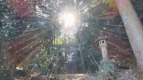 石鎚神社 口之宮 本社(愛媛県)