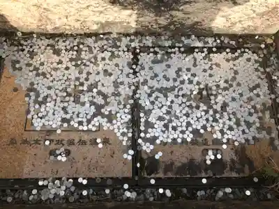 温泉山 安楽寺(四国霊場第六番札所)のその他建物