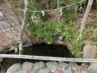 鏡神社(滋賀県)