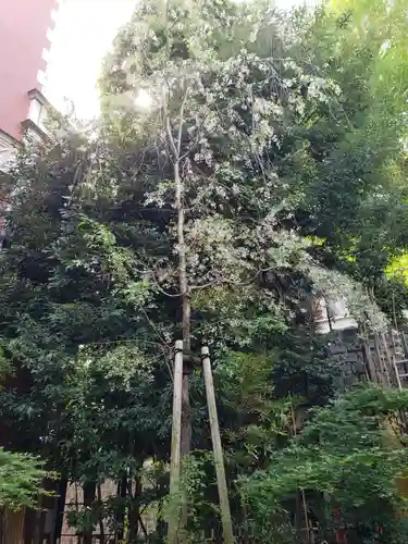 三田春日神社(東京都)