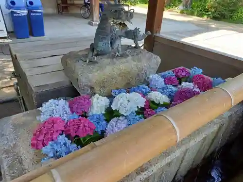 杭全神社の手水