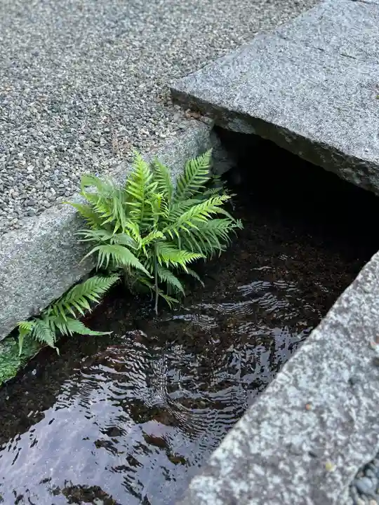 沙沙貴神社(滋賀県)