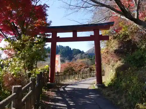 武蔵御嶽神社の鳥居