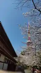 増上寺の自然