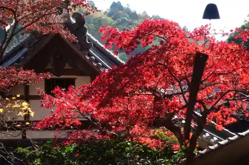 柳谷観音　楊谷寺の庭園