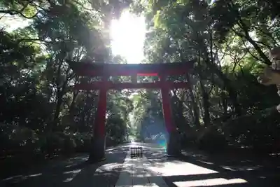 大宮八幡宮の鳥居