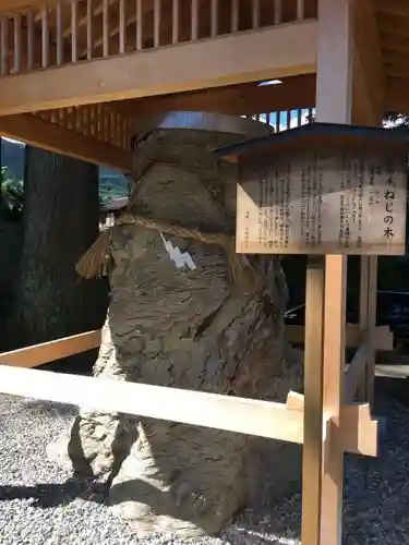 飛騨一宮水無神社の自然