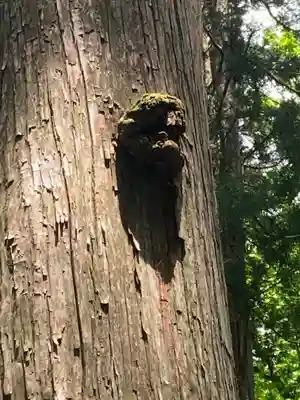 戸隠神社九頭龍社(長野県)