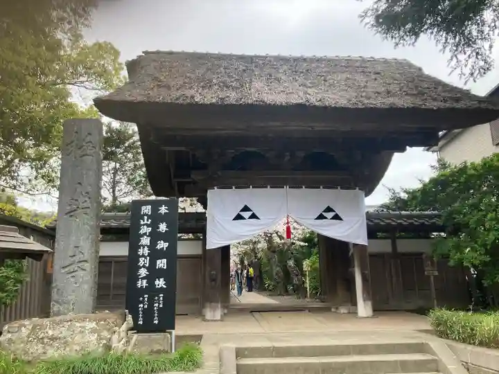 極楽寺(霊鷲山感應院極楽律寺)の山門・神門