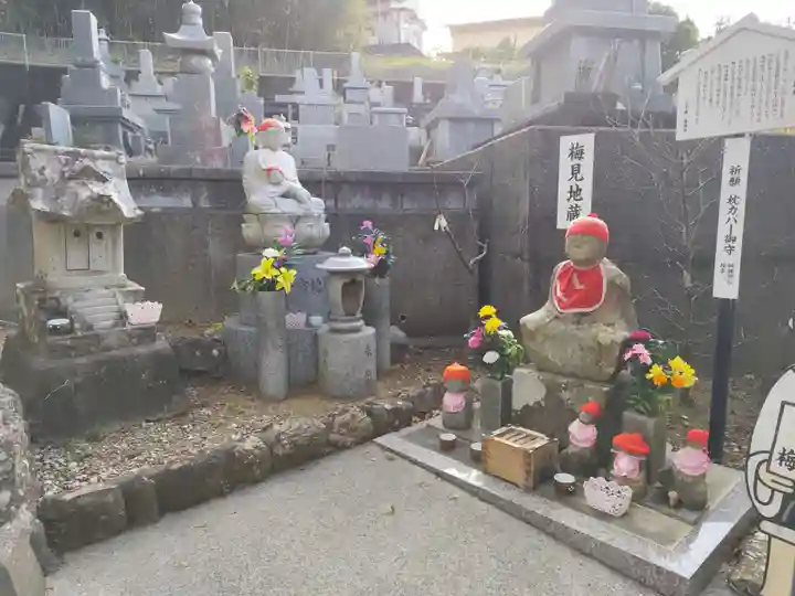 善楽寺(高知県)