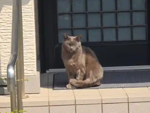 宗善寺(和歌山県)
