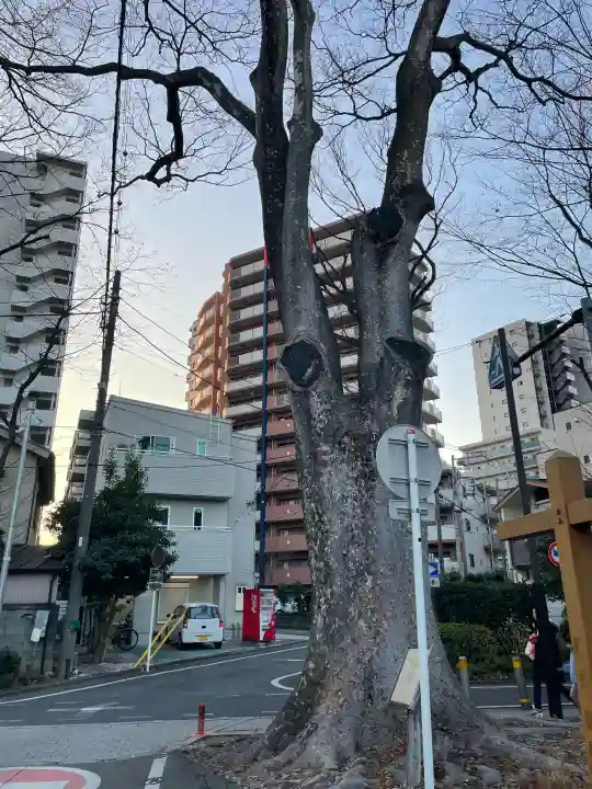 氷川神社の{uncategorized: "未分類", other: "その他", undefined: "問題あり", building: "その他建物", grave: "お墓", sacred_gate: "鳥居", guardian: "狛犬", statue: "像", buddha: "仏像", history: "歴史", nature: "自然", garden: "庭園", animal: "動物", pagoda: "塔", temizu: "手水舎", mountain_gate: "山門・神門", sanctuary: "本殿・本堂", subordinate: "末社・摂社", art: "芸術", scenery: "景色", jizo: "地蔵", ema: "絵馬", goshuin: "御朱印", omikuji: "おみくじ", items: "授与品その他", amulet: "お守り", goshuincho: "御朱印帳", eats: "食事", festival: "お祭り", votive_dance: "神楽", shichigosan: "七五三参", wedding: "結婚式", experience: "体験その他", initially: "初詣", around: "周辺", anti_infection: "感染症対策"}