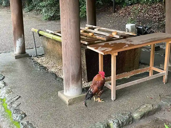 八剣宮(熱田神宮別宮)(愛知県)