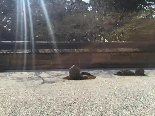 龍安寺の庭園