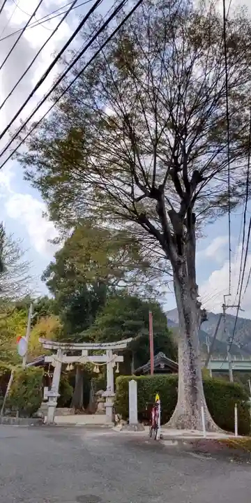 樹下神社遙拝所(滋賀県)