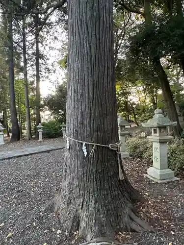 春日神社(滋賀県)