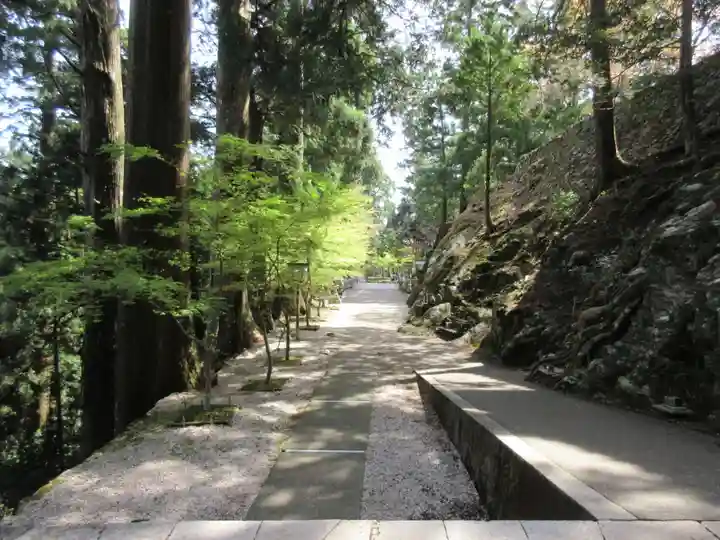太龍寺(徳島県)