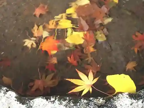 日吉神社の手水舎