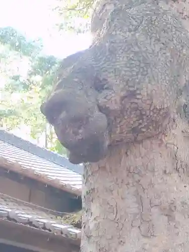 氷川女體神社(埼玉県)