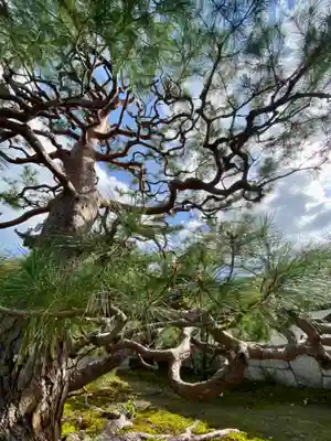 久昌院(京都府)