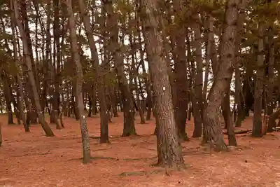 綱敷天満神社(愛媛県)
