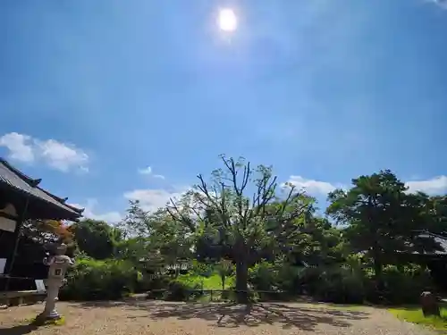 海龍王寺(奈良県)