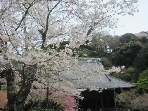 妙本寺のその他建物